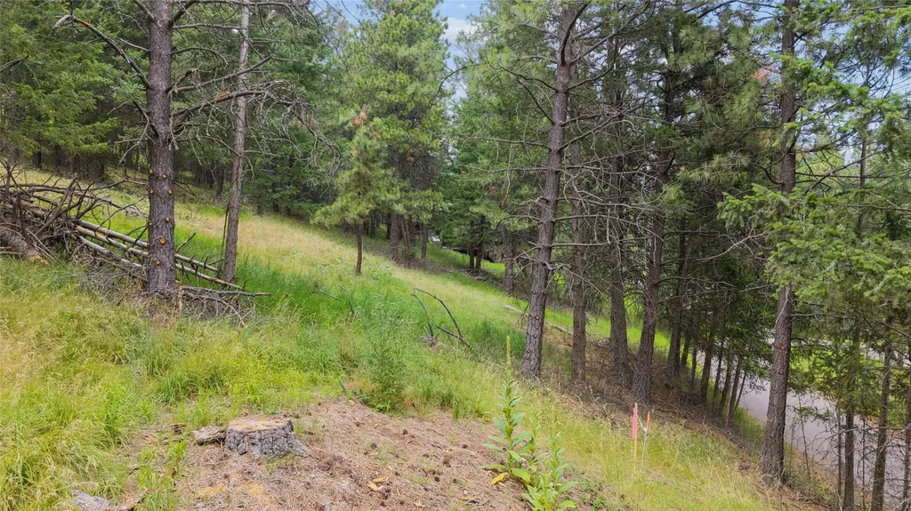 435 Windsor Drive Bigfork MT 59911