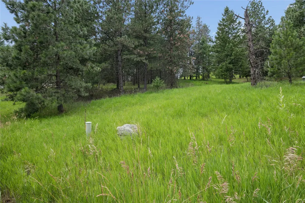 435 Windsor Drive Bigfork MT 59911