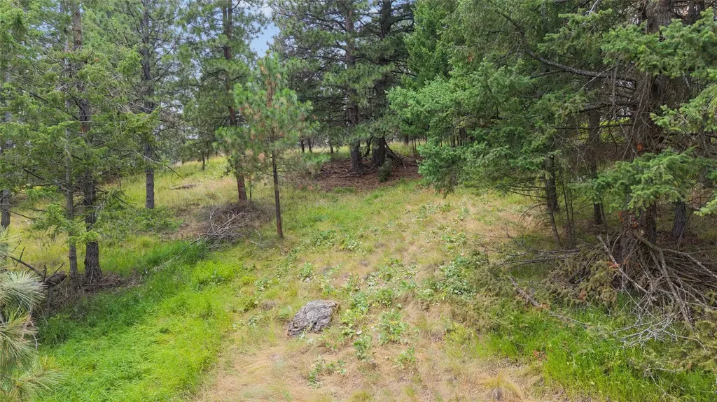 435 Windsor Drive Bigfork MT 59911
