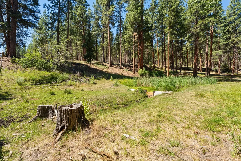 Nhn Spirit Pine Road Victor MT 59875