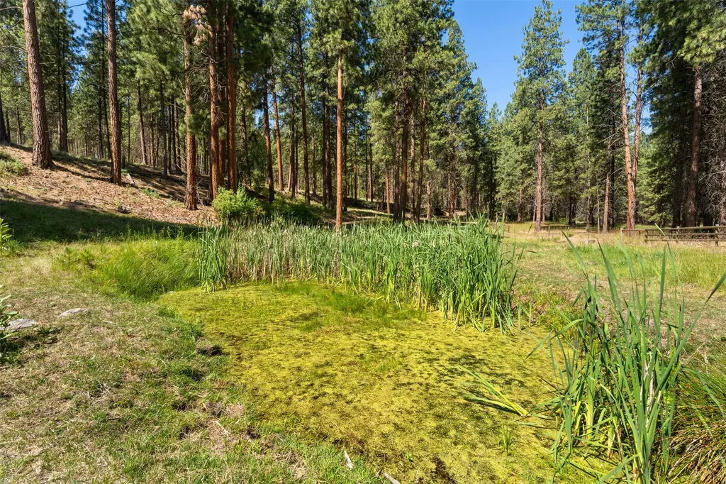 Nhn Spirit Pine Road Victor MT 59875
