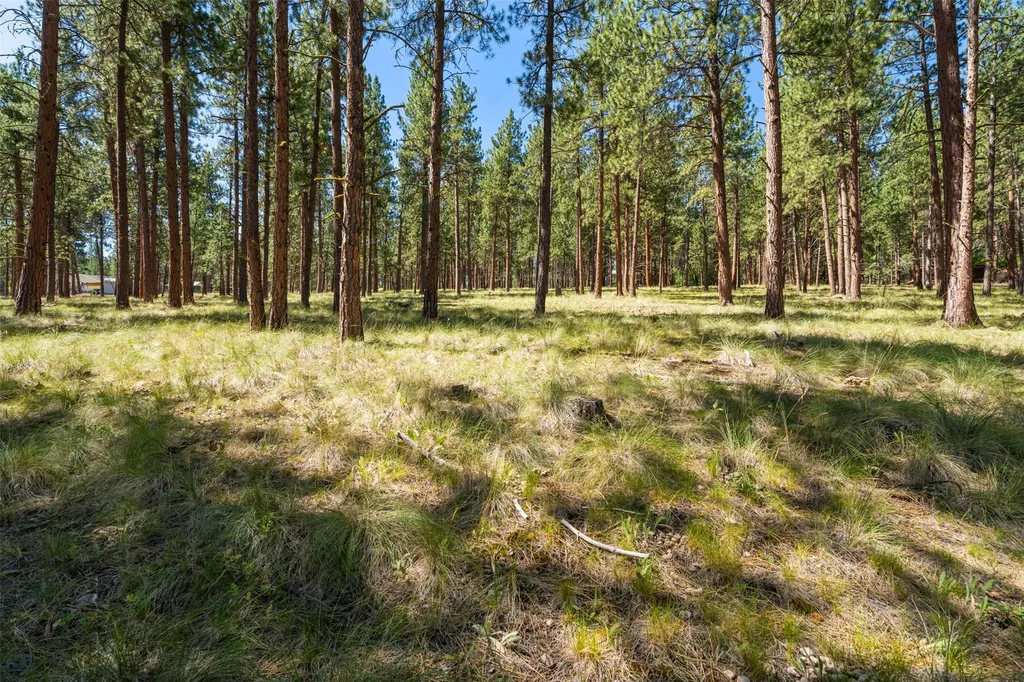 Nhn Spirit Pine Road Victor MT 59875