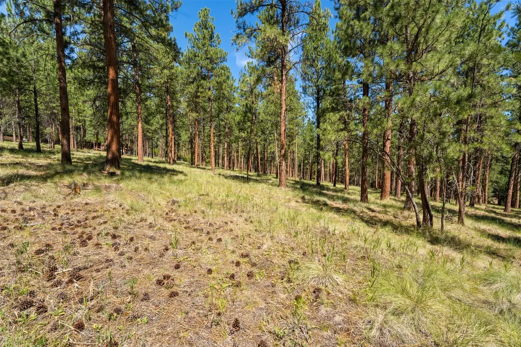 Nhn Spirit Pine Road Victor MT 59875
