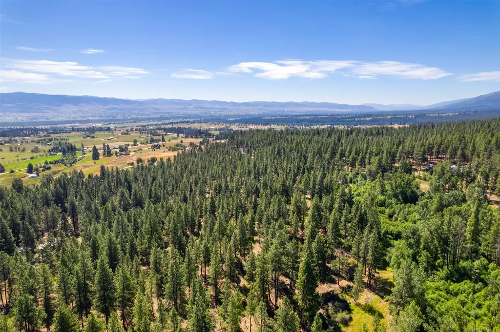 Nhn Spirit Pine Road Victor MT 59875