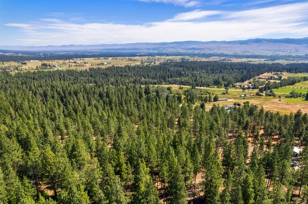 Nhn Spirit Pine Road Victor MT 59875