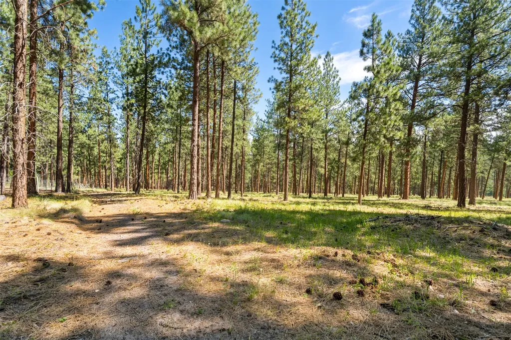 Nhn Spirit Pine Road Victor MT 59875