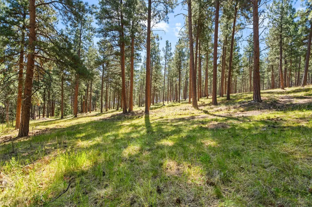 Nhn Spirit Pine Road Victor MT 59875