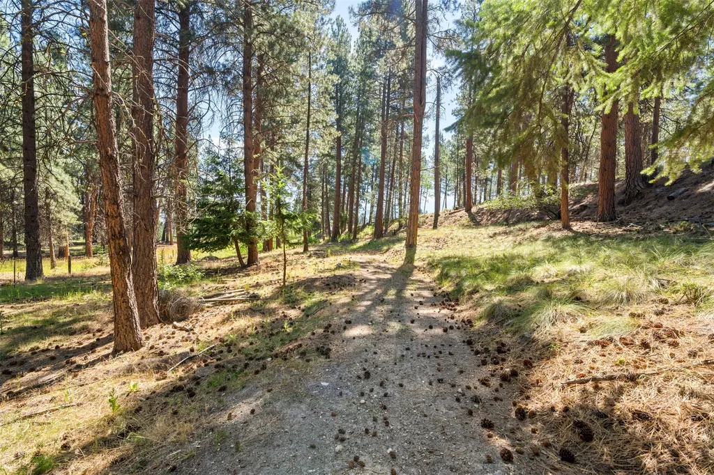 Nhn Spirit Pine Road Victor MT 59875