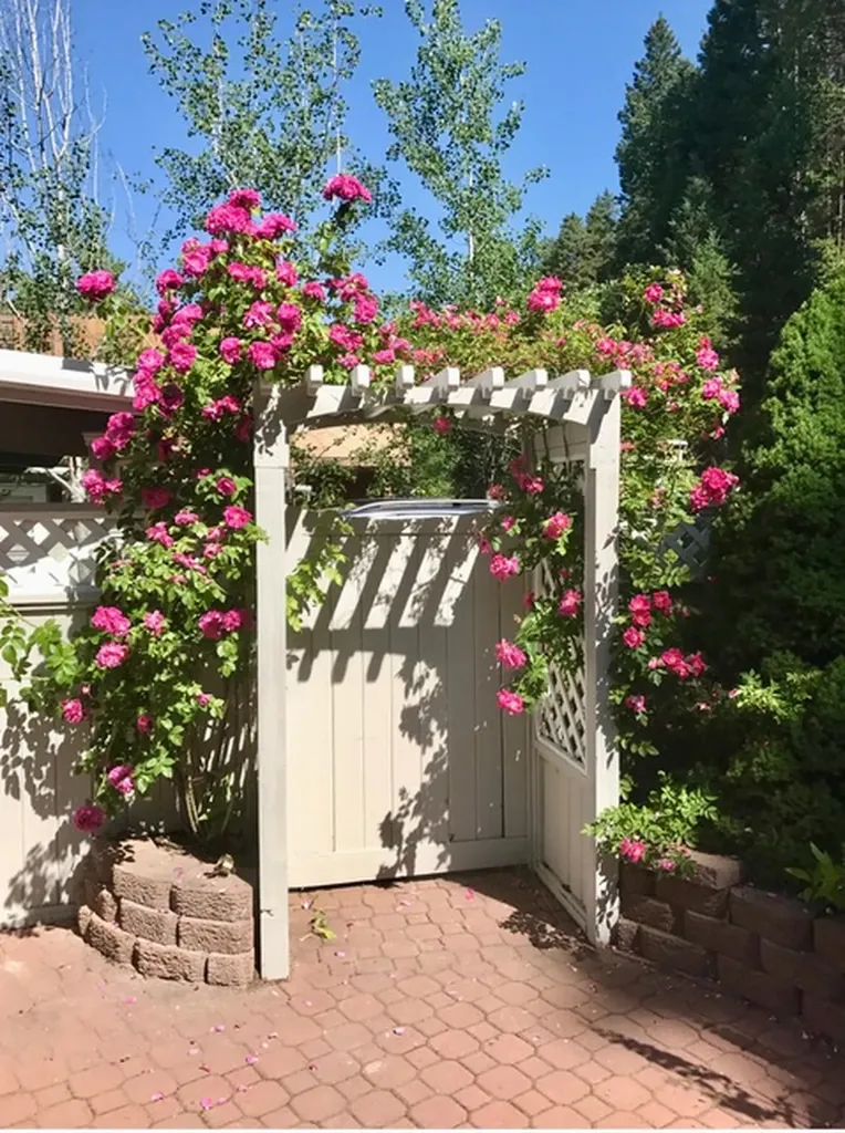 2730 Plaza Road Whitefish MT 59937