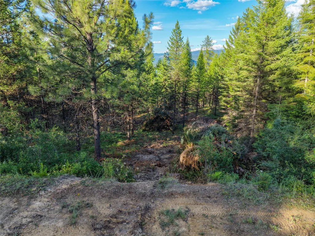 Lot 11 Panoramic View Drive Libby MT 59923
