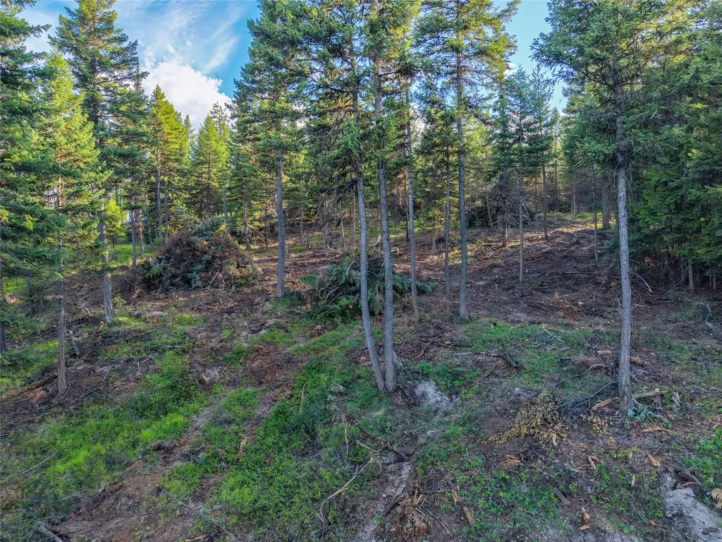 Lot 11 Panoramic View Drive Libby MT 59923