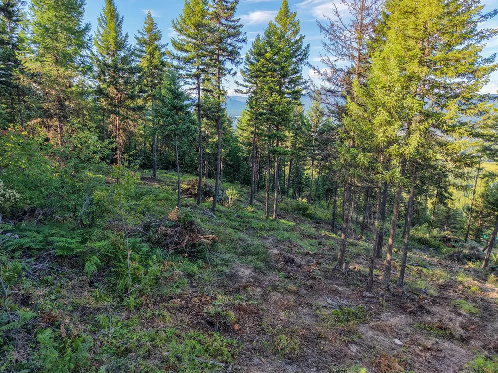 Lot 11 Panoramic View Drive Libby MT 59923