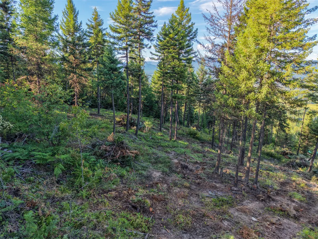 Lot 11 Panoramic View Drive Libby MT 59923