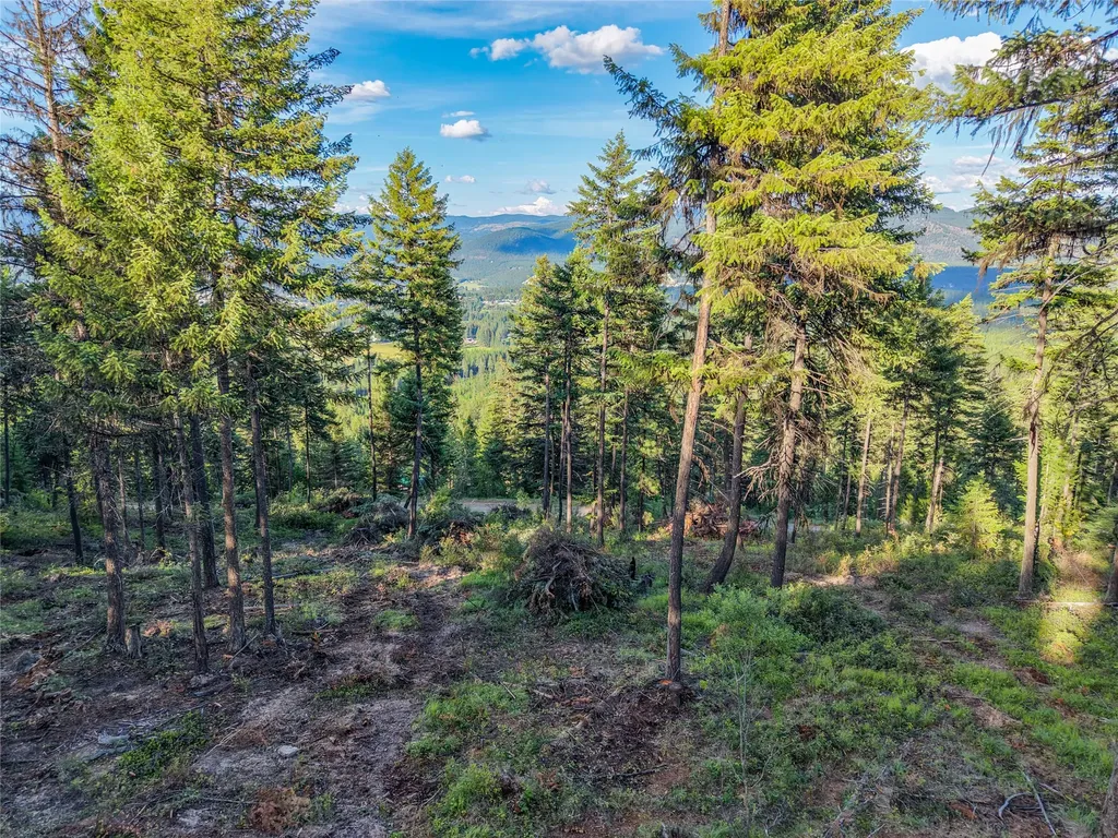 Lot 11 Panoramic View Drive Libby MT 59923