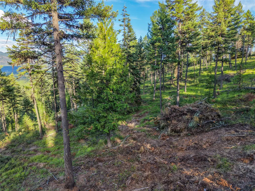 Lot 11 Panoramic View Drive Libby MT 59923