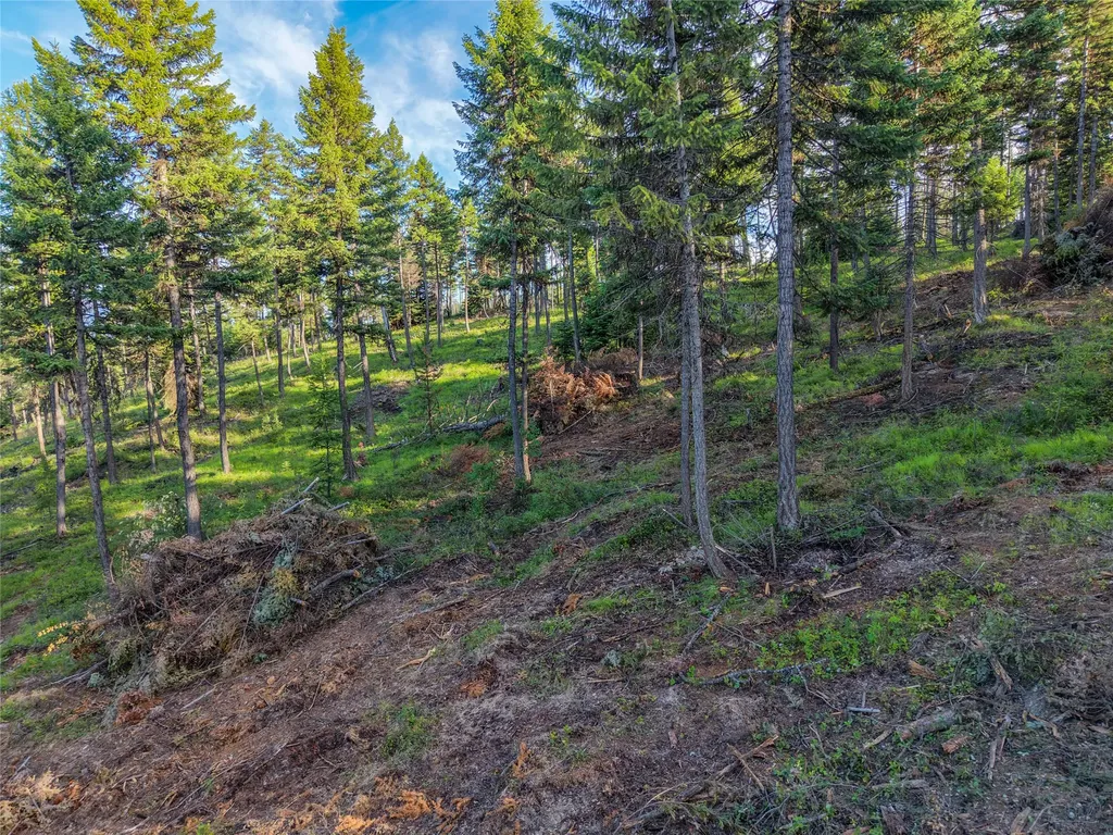 Lot 11 Panoramic View Drive Libby MT 59923