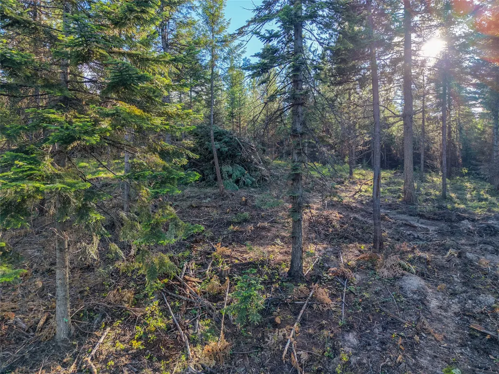 Lot 11 Panoramic View Drive Libby MT 59923