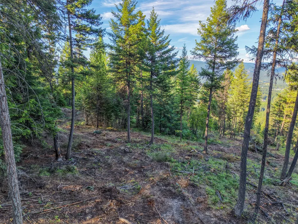 Lot 11 Panoramic View Drive Libby MT 59923