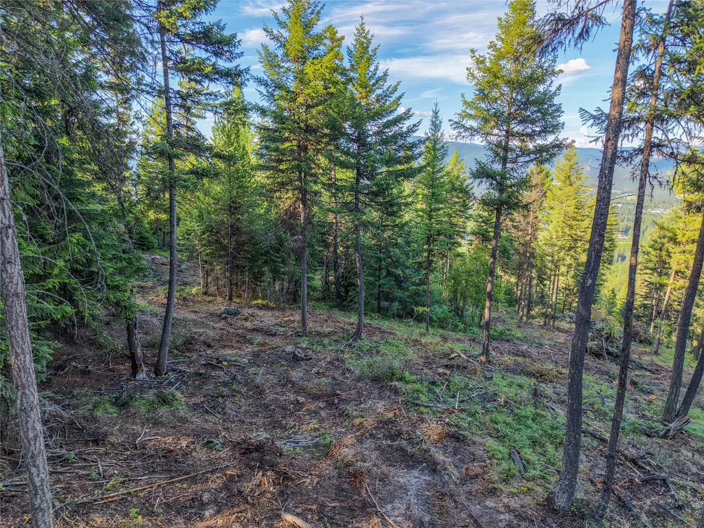 Lot 11 Panoramic View Drive Libby MT 59923
