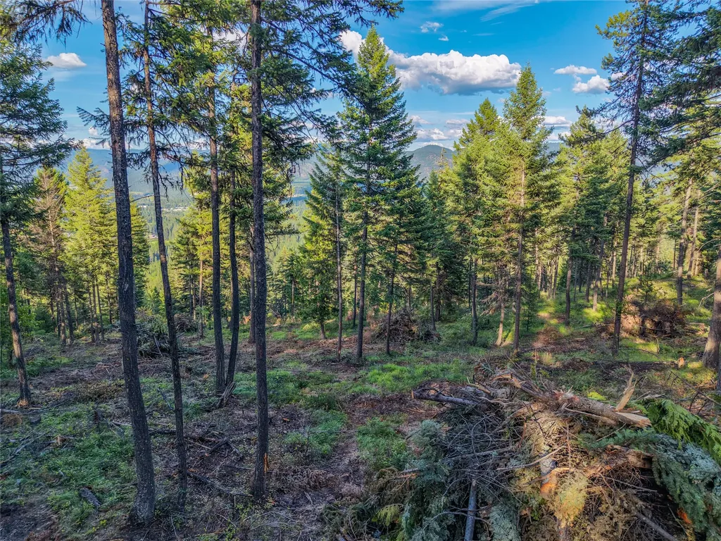 Lot 11 Panoramic View Drive Libby MT 59923
