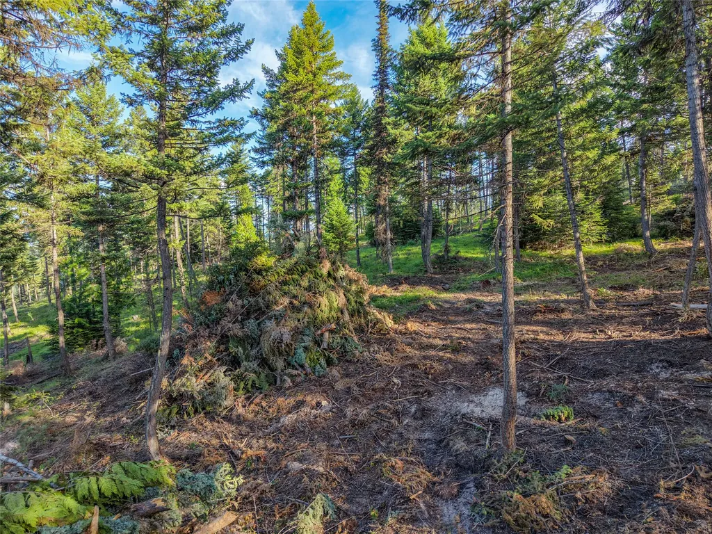Lot 11 Panoramic View Drive Libby MT 59923