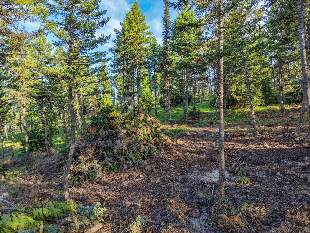 Lot 11 Panoramic View Drive Libby MT 59923