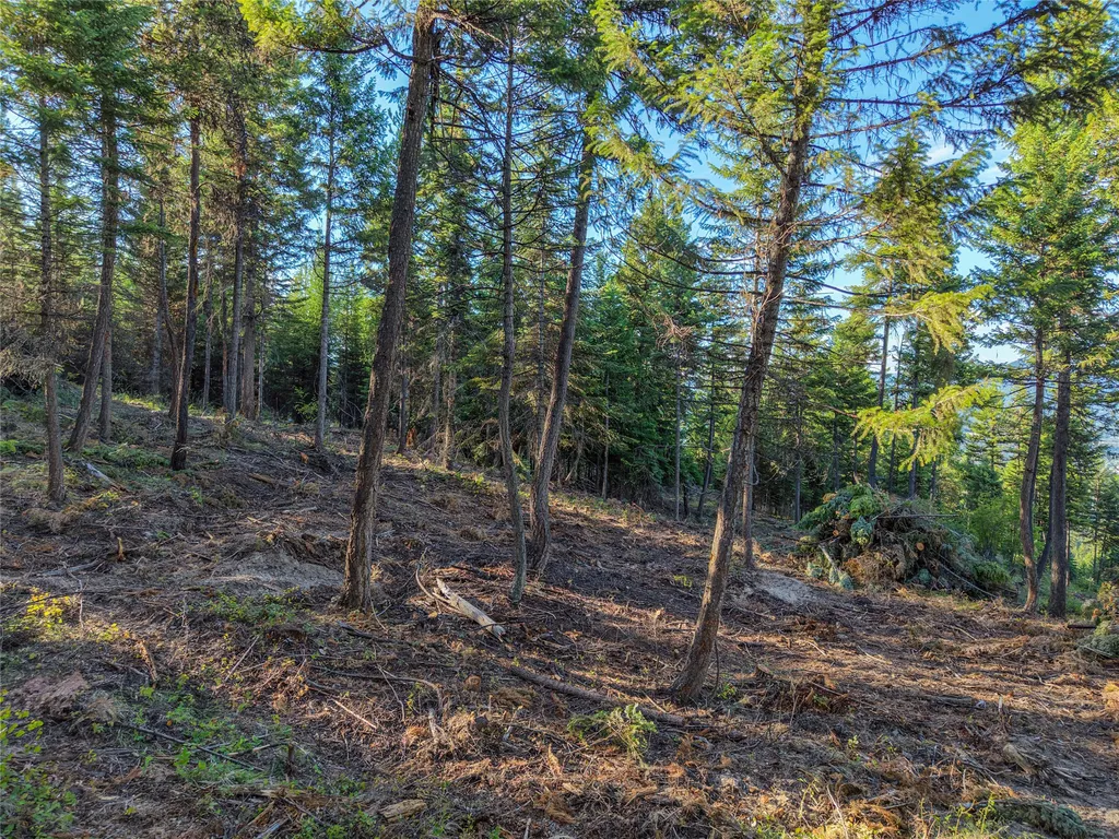 Lot 11 Panoramic View Drive Libby MT 59923