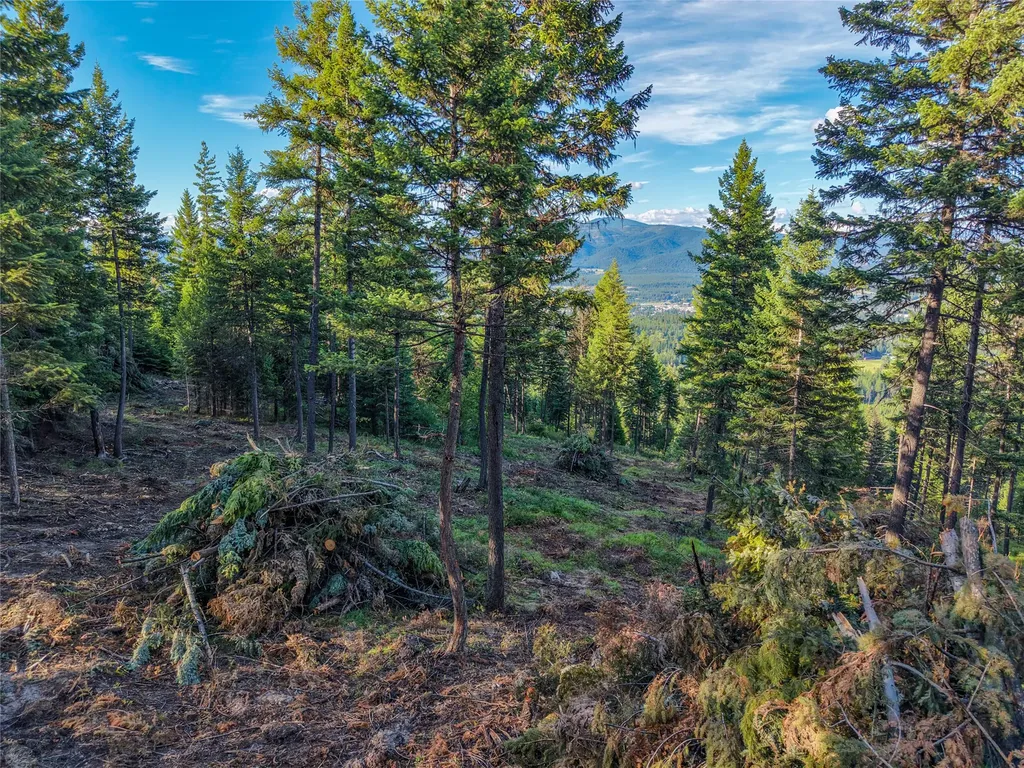 Lot 11 Panoramic View Drive Libby MT 59923