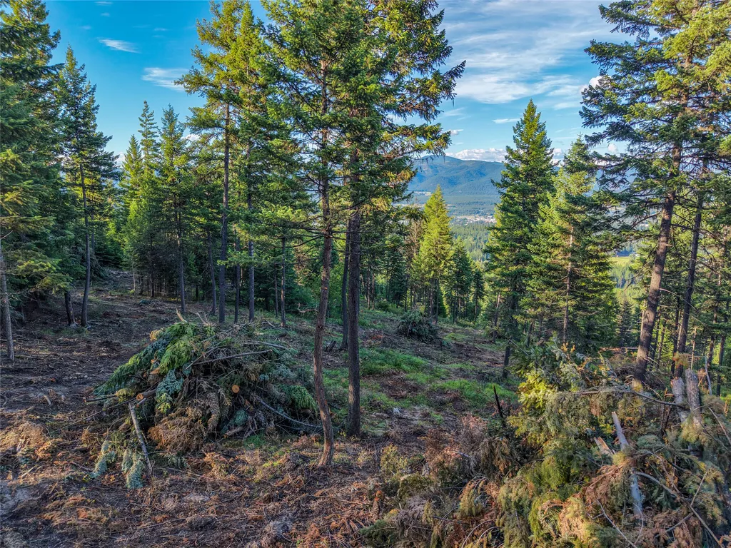 Lot 11 Panoramic View Drive Libby MT 59923