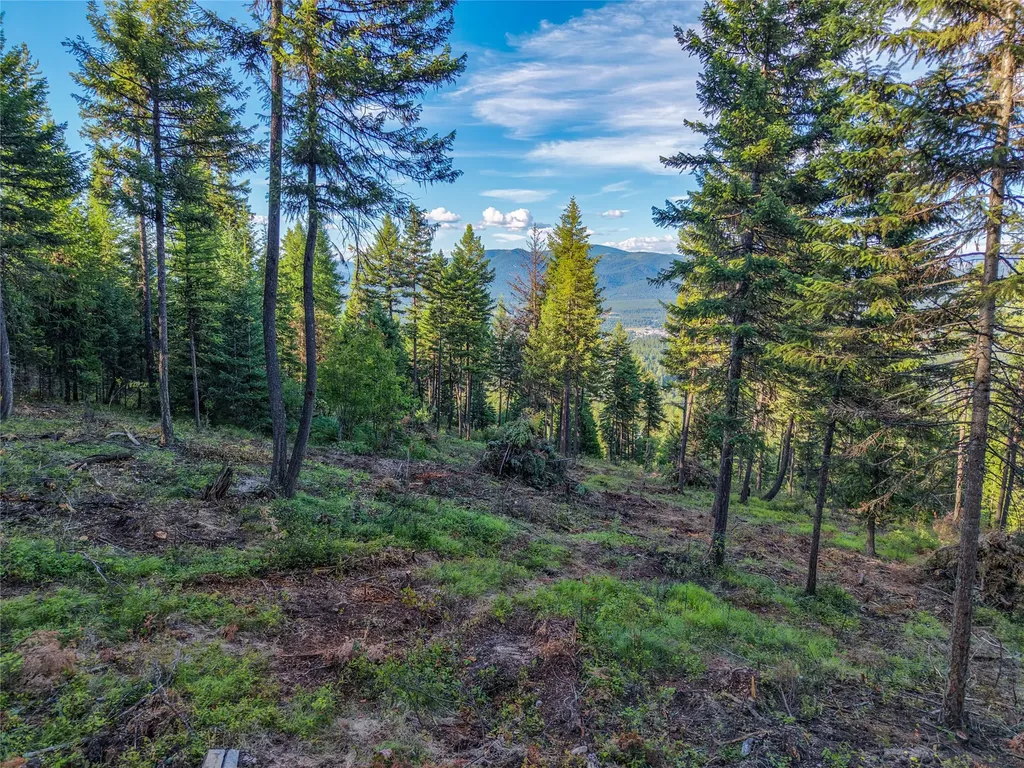 Lot 11 Panoramic View Drive Libby MT 59923