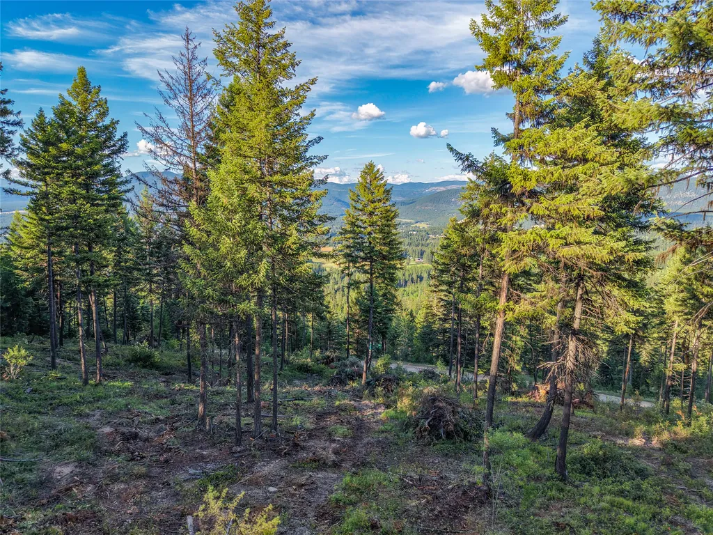 Lot 11 Panoramic View Drive Libby MT 59923