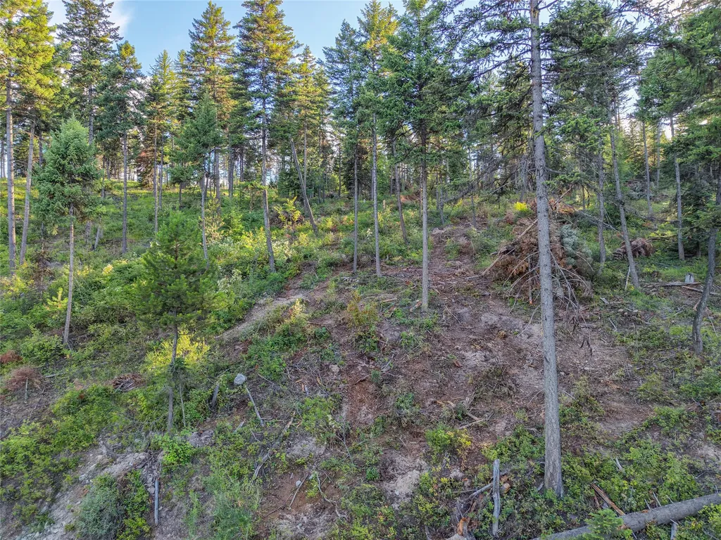 Lot 11 Panoramic View Drive Libby MT 59923