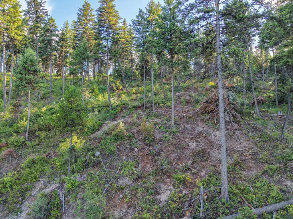 Lot 11 Panoramic View Drive Libby MT 59923