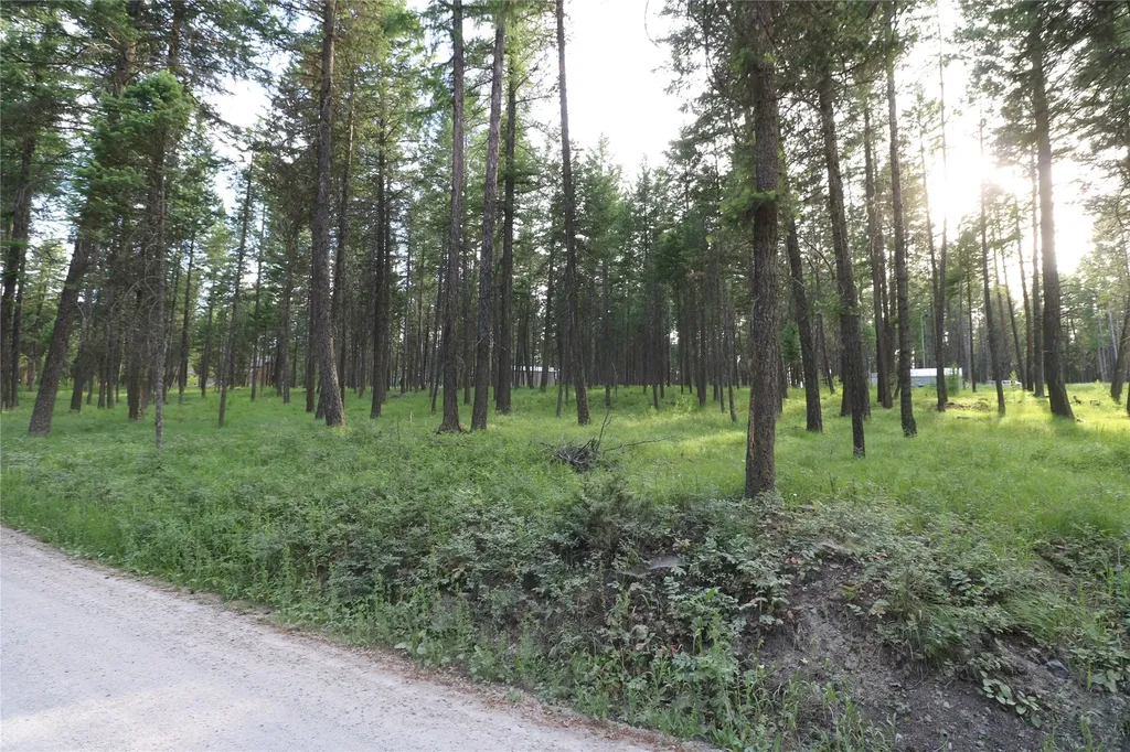 132 Squirrel Lane Whitefish MT 59937