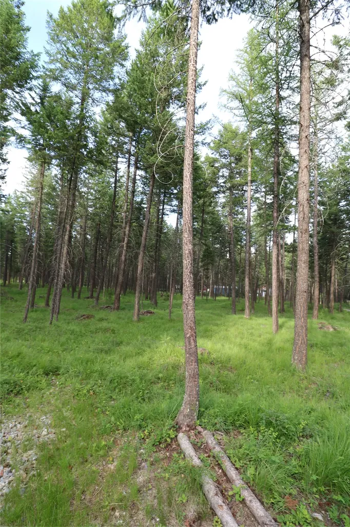 132 Squirrel Lane Whitefish MT 59937