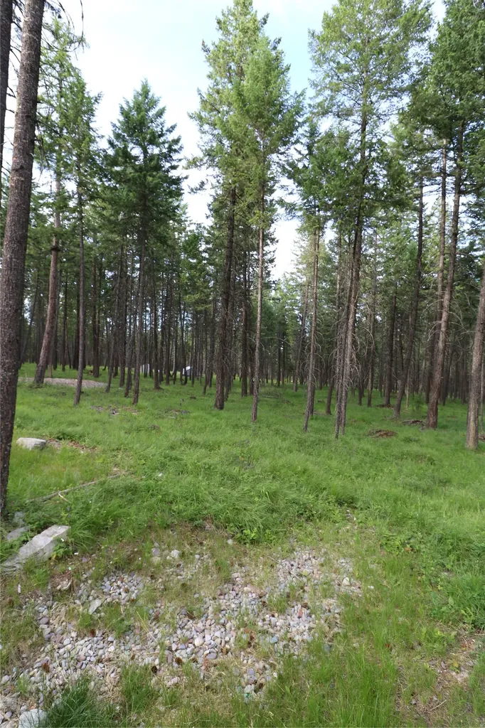 132 Squirrel Lane Whitefish MT 59937