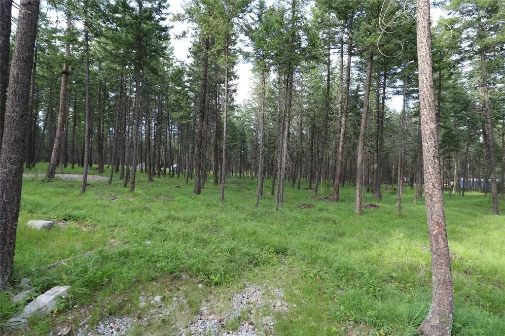 132 Squirrel Lane Whitefish MT 59937