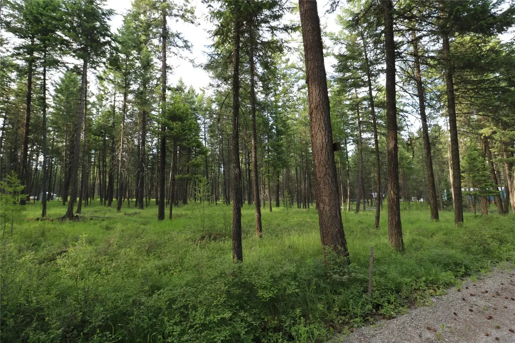 132 Squirrel Lane Whitefish MT 59937