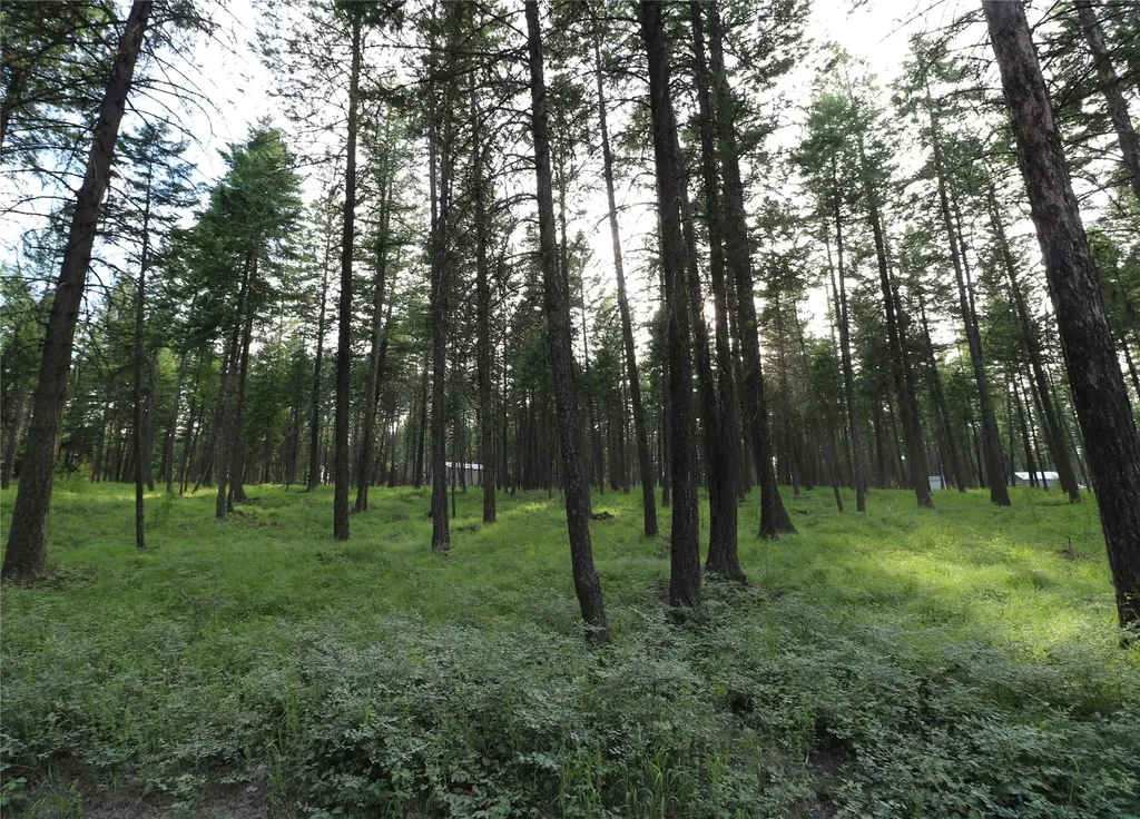132 Squirrel Lane Whitefish MT 59937