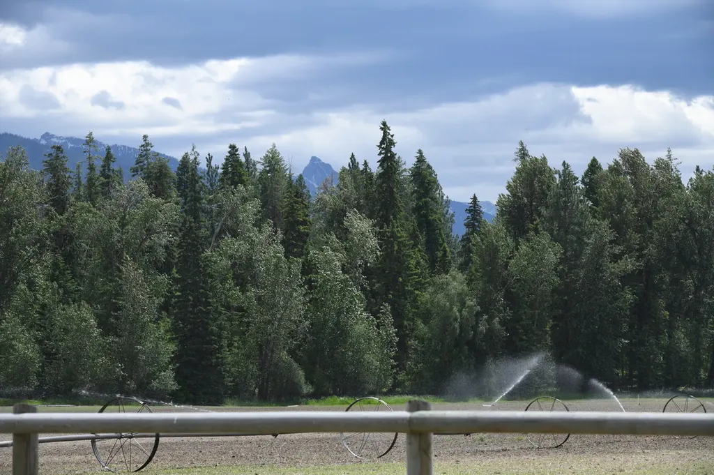 33259 Courville Trail Polson MT 59860