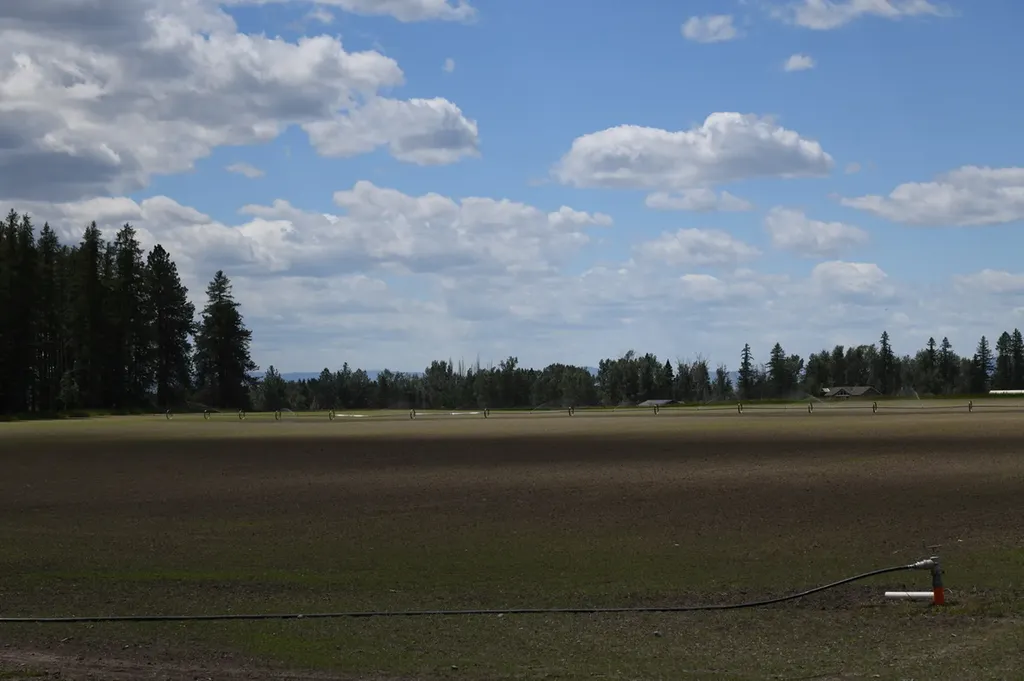 33259 Courville Trail Polson MT 59860