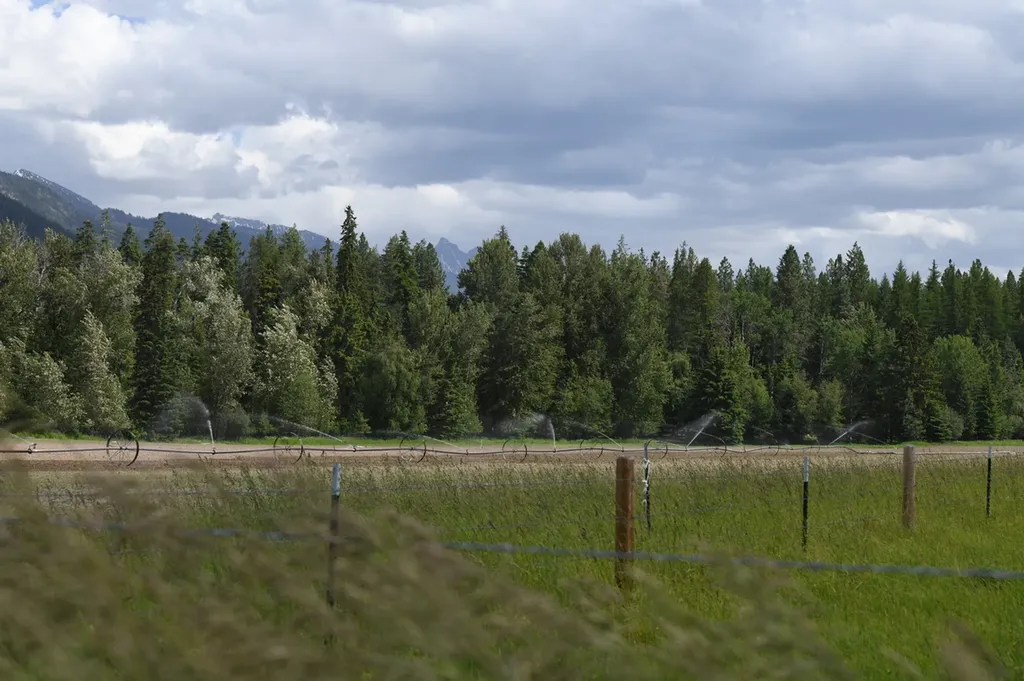33259 Courville Trail Polson MT 59860