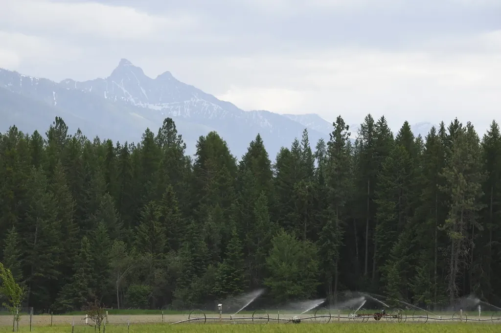 33259 Courville Trail Polson MT 59860