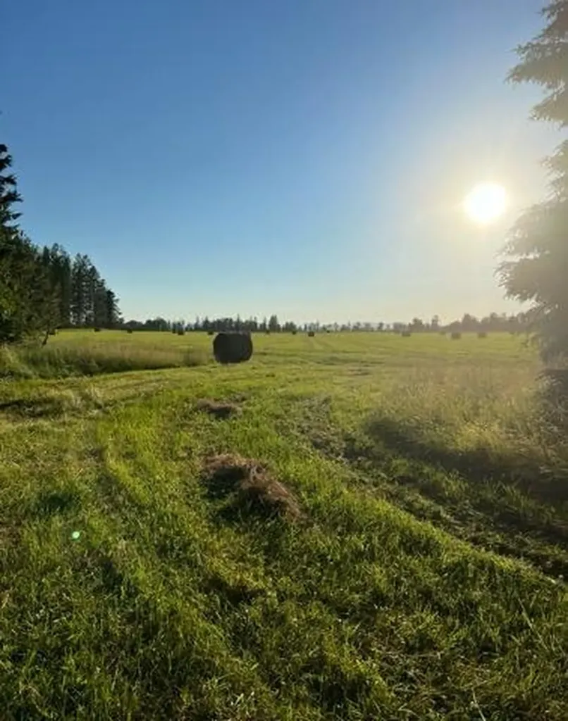 33259 Courville Trail Polson MT 59860