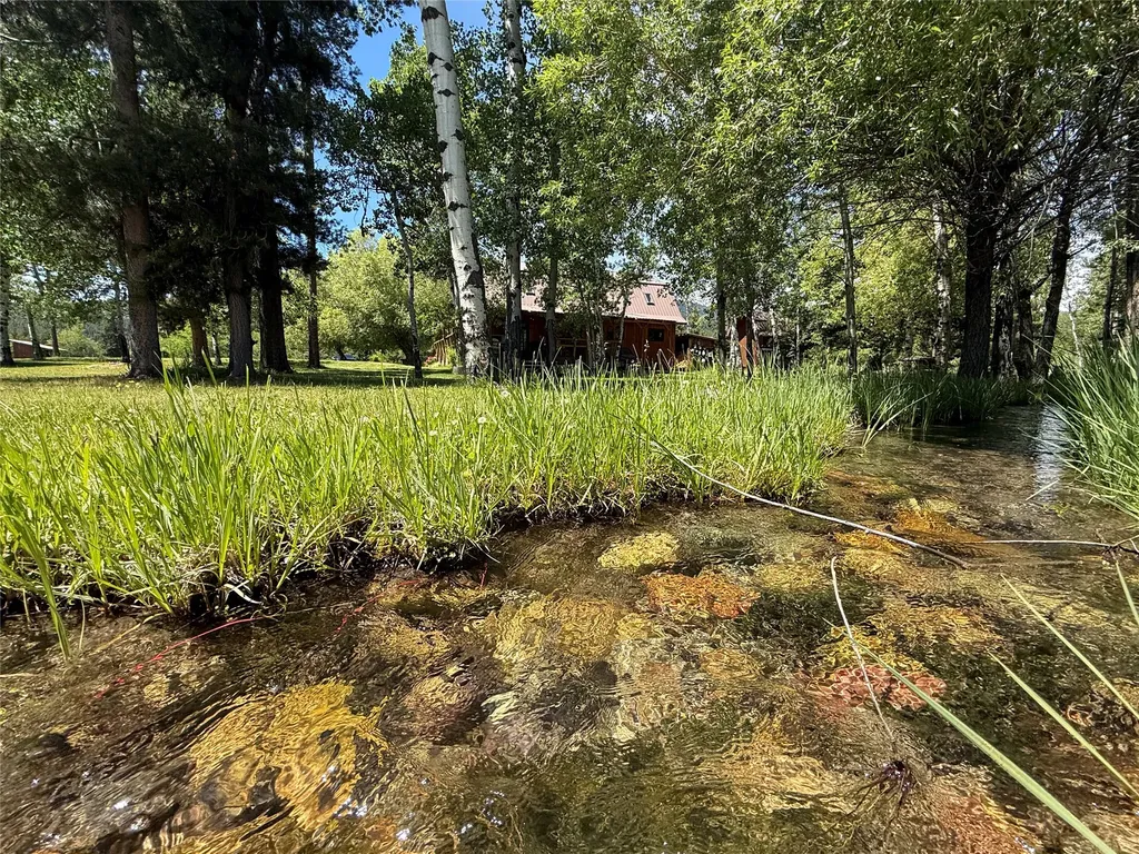 1953 Lone Point Drive Lincoln MT 59639