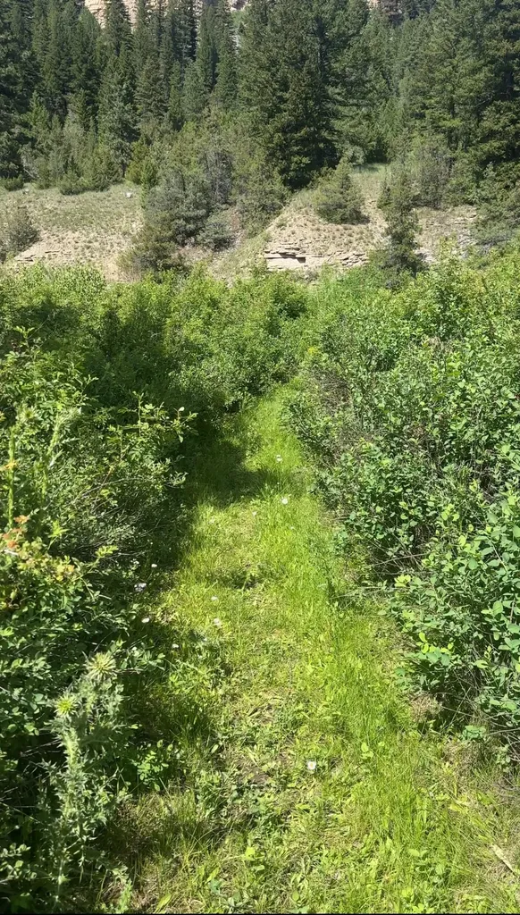 Tbd Castle Bar Cabin Sites White Sulphur Springs MT 59645