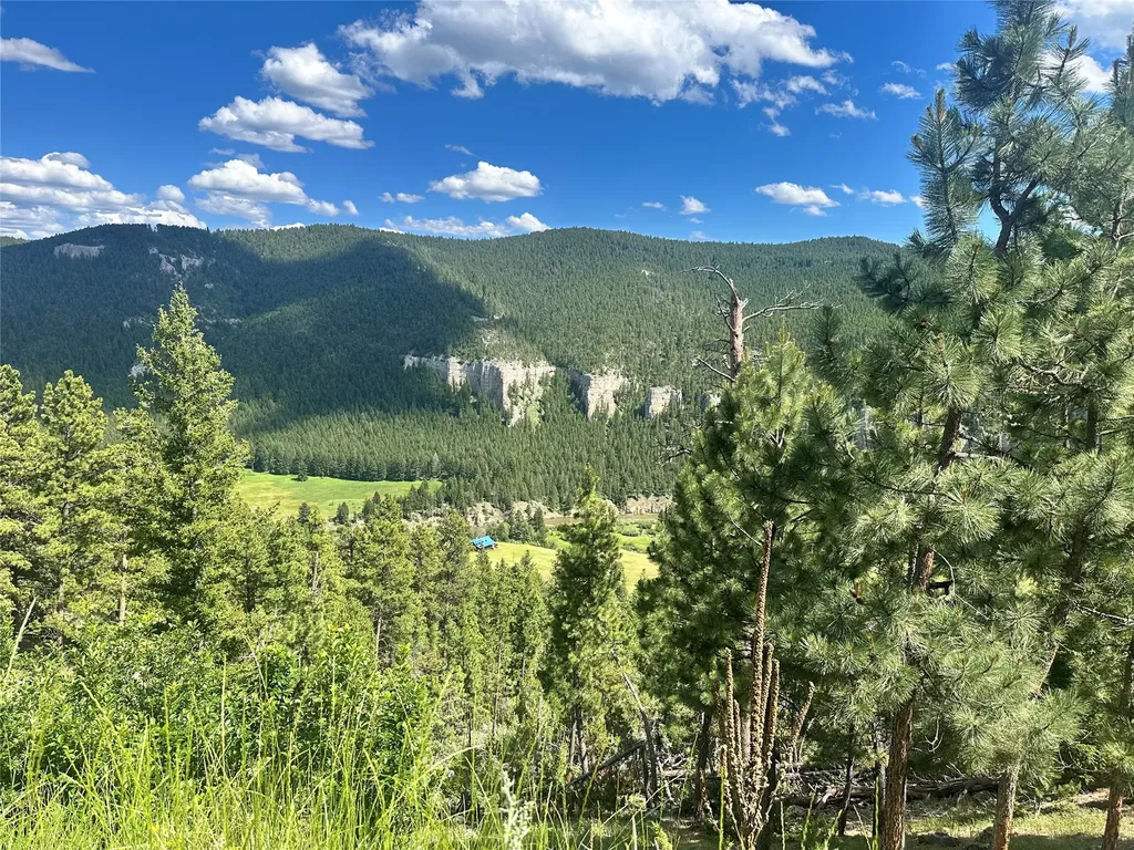 Tbd Castle Bar Cabin Sites White Sulphur Springs MT 59645