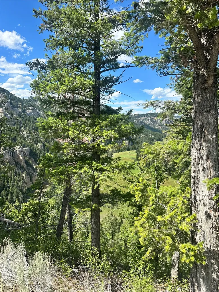Tbd Castle Bar Cabin Sites White Sulphur Springs MT 59645