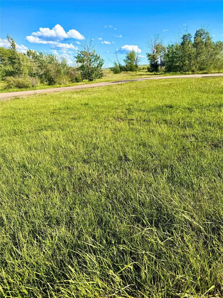 Tbd Paul Road Browning MT 59417