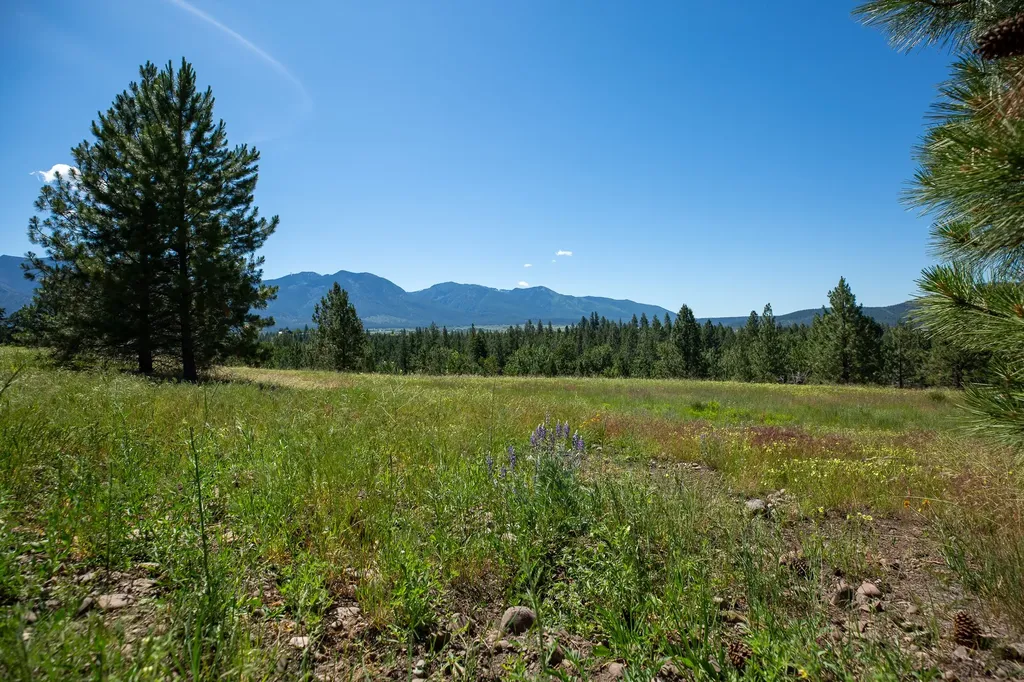 Tbd Skip Lane Arlee MT 59821